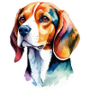 Beagle Aquarelles
