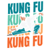 Kung Fu