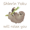 Shinrin Yoku Sloth