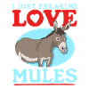 mule mule mule gift
