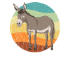 Mule Mule Muli Mule Gift