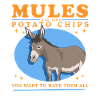 Maultier Muli Maultiere Maulesel Geschenk