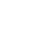 The Wizard