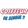 COIFFEUR de dingue !!!