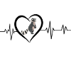 Raccoon heartbeat