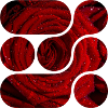 OCHOOO - Red Rose