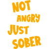 Not Angry Just Sober 2