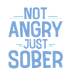 Not Angry Just Sober 4