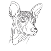 Line Art Peruvian Hairless Dog