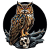 Owl sitting on sculls