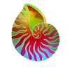 Shell purple green red
