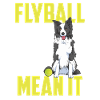 Flyball Canine Sport Agility Parcour Dog