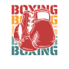 Boxe Boxe