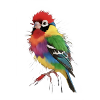 Vibrant Spectrum Finch