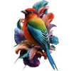 Rainbow Finch - Nature's Palette
