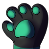 Paws
