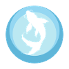 Koi Fisch Fischer