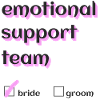 Emotional Support Team
