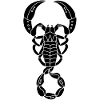 Scorpion noir