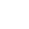 Lizard
