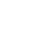 Lizard