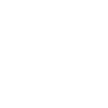 Lion Sunglasses