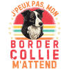 Mon Border collie