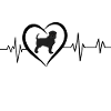 Affenpinscher Herzschlag