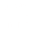 École universitaire Wolfsburg College