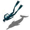 Diver & Dolphin – Diving Motif
