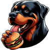 Funny dog Rottweiler loves hamburger