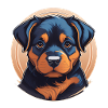 Rottweiler puppy
