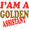 GOLDEN ASSISTANT