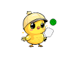 Pickleball Chick, funny pickleball