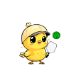 Pickleball Chick, funny pickleball
