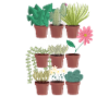 Topfpflanzen Trio