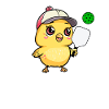 Pickleball Chick, funny pickleball