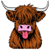 Highland bull