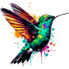 Colibri