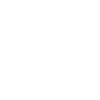 Rose Flower