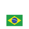 Drapeau du Brésil
