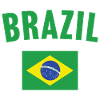 Brazil Flag