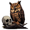 Mystic Owl Sitting on a Skull