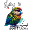 Funny Night Parrot Sayings