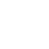 Night Parrot Kakapo
