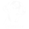 Labrador Retriver Best-seller