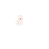 Bichon heartbeat