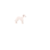 Bedlington Heartbeat