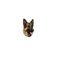 Heartbeat Shepherd