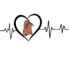 Groundhog heartbeat